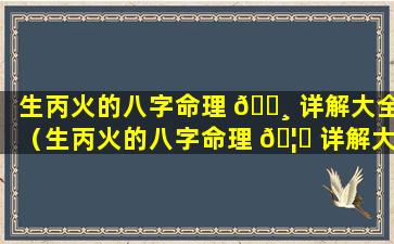 生丙火的八字命理 🌸 详解大全（生丙火的八字命理 🦋 详解大全图）